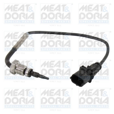 Sensor, exhaust gas temperature
